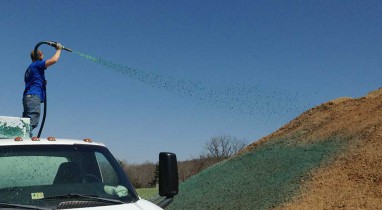 Hydroseed application